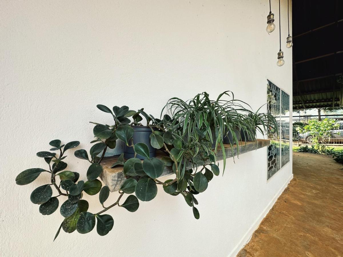 Xom Organic Farm Stay Pleiku Eksteriør bilde